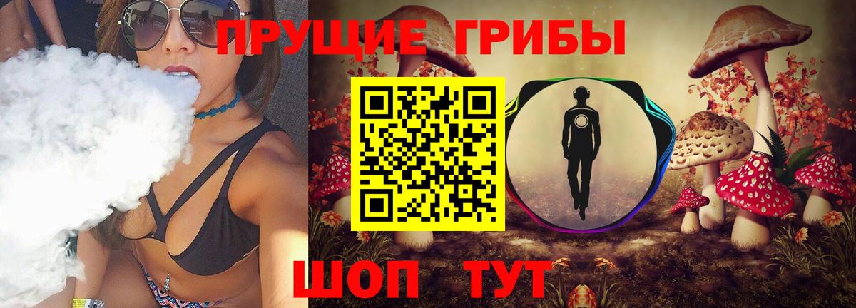 Амурск  Псилоцибиновые грибы мицелий  сколько стоит  Вход с VPN 