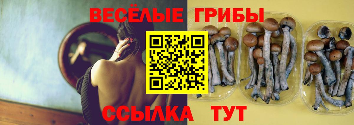 БУТИРАТ Амурск